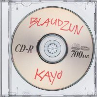 Blaudzun - Kayo (Acapella)