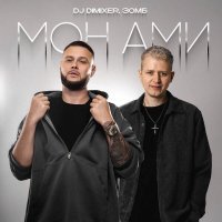 DJ DimixeR, Зомб - Мон Ами