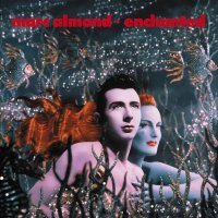 Marc Almond - Waifs and Strays