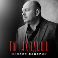 Михаил Задорин - Ты уходишь