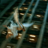 Jumpday, Save Room - Этажи