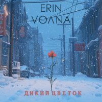 Erin, VOЛNA - Дикий цветок