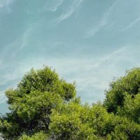 Cutted Files - in the course of