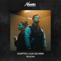 Diseptix, ILYA SECHKIN - Reasons