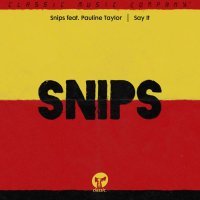 snips, Pauline Taylor - Say It (feat. Pauline Taylor)