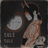 V21 - Sule Sule