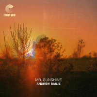 Andrew Bailie - Mr. Sunshine