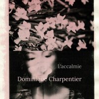 Dominique Charpentier - L'accalmie