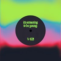 Fontaines D.C. - It's Amazing To Be Young