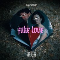 Hopeseeker - Fake Love