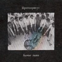 Протоприкус - Бычье Лыко