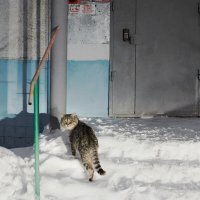 Артур Кулаков, Пост Парк - Непоправимо