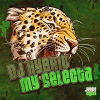 DJ Hybrid - My Selecta