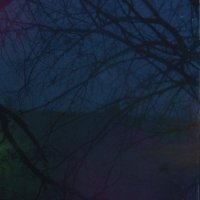 Plenka - about yourself