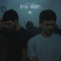 Drongo, AMIGO - Полоса