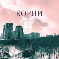 Кактус Вандерлуст - Корни