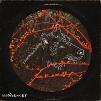 Nalim - Wolfberries