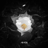 Avicii, Sandro Cavazza - Without You