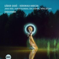 Veronika Harcsa, Gabor Gado, Tamás Zétényi, Éva Csermák, János Ávéd, Laurent Blondiau - Patience Is Gold