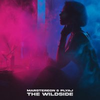 MARSTEREON, PLYAJ - The Wildside