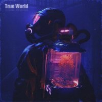 True World - Consequences of 21st century