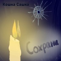 Кошка Сашка - Сохрани