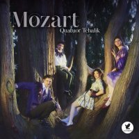 Quatuor Tchalik - String Quartet No. 20 in D Major, KV 499 "Hoffmeister": I. Allegretto