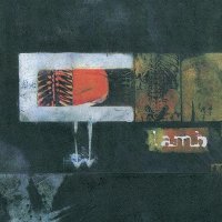 Lamb - Cottonwool