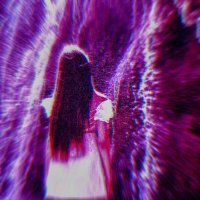 MONTRASE - Love Is Coming