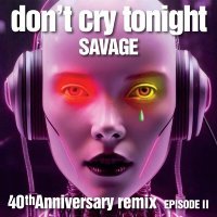 Savage - Don't Cry Tonight (Sonicsinergy Extended)