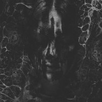Wlvs - ЧЧВ (Ver 1)