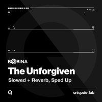 Bobina - The Unforgiven (Slowed + Reverb)