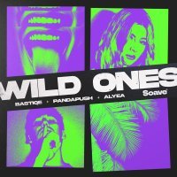 Bastiqe, Pandapush, Alyea - Wild Ones