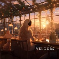 assol - velours