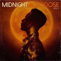 Kevin Ross - Midnight Microdose, Vol. 2