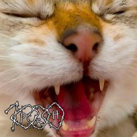 1000ран - Ты и я