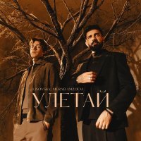 Lisovsky, Merab Amzoevi - LISOVSKY, Merab Amzoevi - Улетай