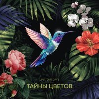 Linatone Days - Качусь быстрей