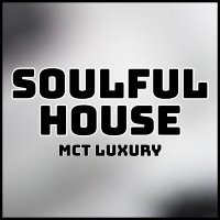 Alan De Laniere - Believe Me (Tribalizer Mix)