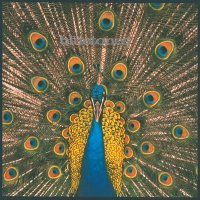 The Bluetones - Talking To Clarry