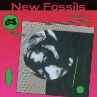 New Fossils - Idris