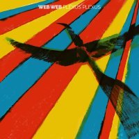 Web Web - Infant At The Time