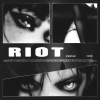 SKWLKR - RIOT (Slowed)