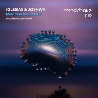 Joshwa, Enrique Iglesias, Paco Osuna - Mind Your Business - Paco Osuna Remix (Radio Edit)