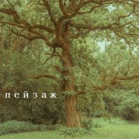 пейзаж - если я
