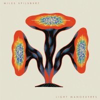 Miles Spilsbury, Carlos Nino - Gratitude