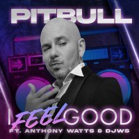 Pitbull, Anthony Watts, DJWS - I Feel Good