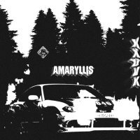 KXDVK - AMARYLLIS