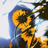 Sunsay - Гра