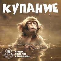 Купание обезьяны в теплой воде - Рехаб